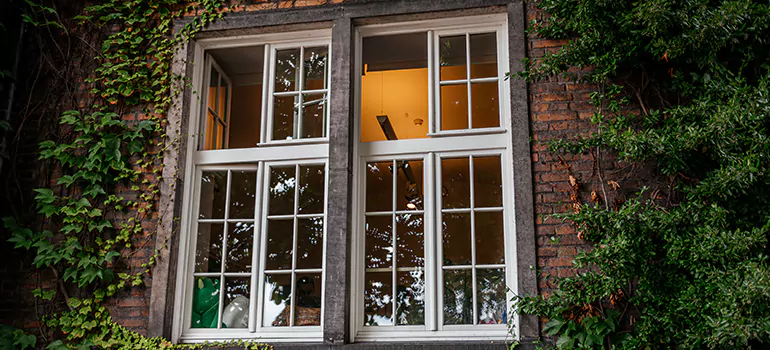 Energy Efficient Wood Windows in Jacksonville, FL