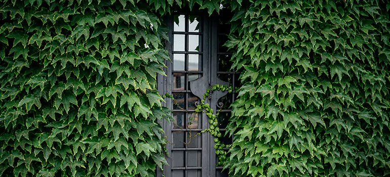 Garden Gate Repair in Jacksonville, FL