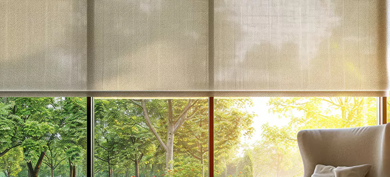 Custom Window Shades in Jacksonville, FL