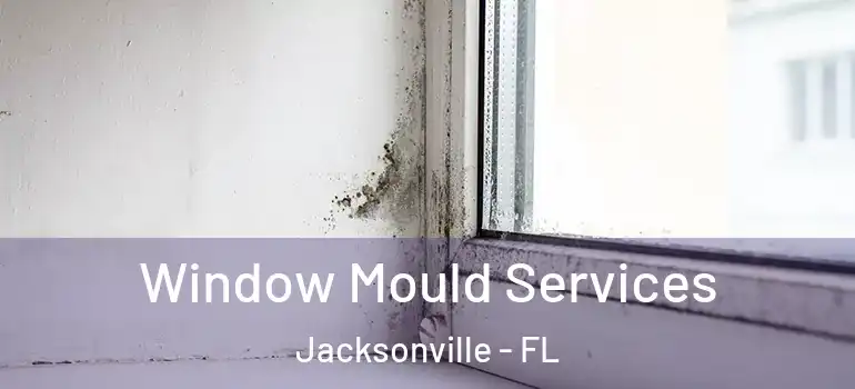  Window Mould Services Jacksonville - FL